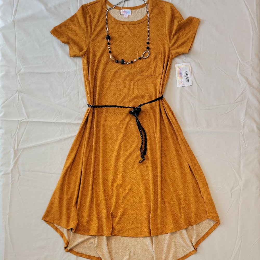 LuLaRoe Carly dress- XSmall